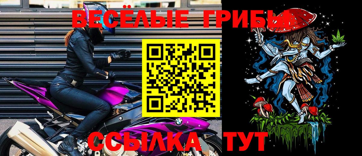 Галлюциногенные грибы MAGIC MUSHROOMS  Вход с VPN  Алейск 